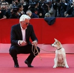 gere dog